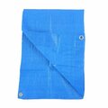 Nunc Patio Supplies 12 x 16 in. Polyethylene Storage Tarp Cover; Light Blue NU3253349